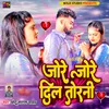 About Jore Jore Dil Todni Song